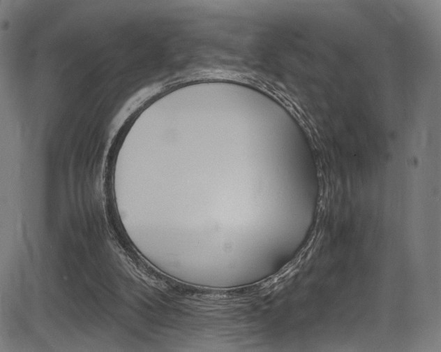 X0000085210104200703090839