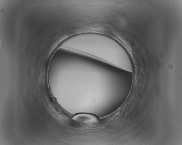 X0000085210107200703090839
