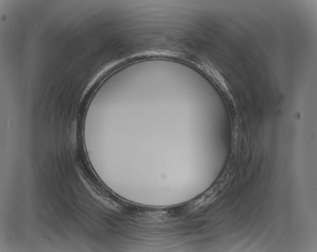 X0000085210108200703090839