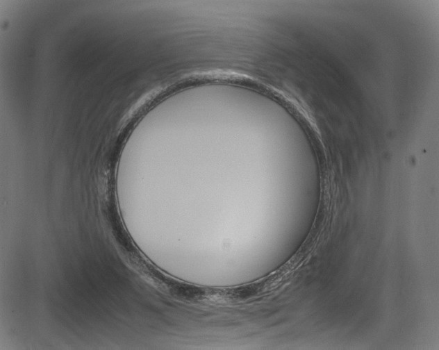 X0000085210111200703090839