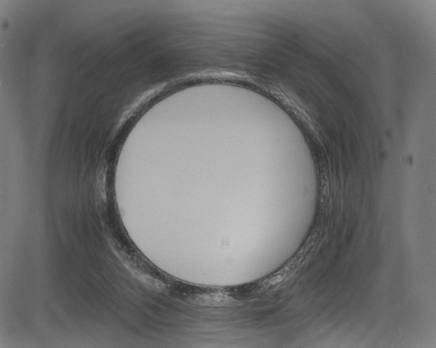 X0000085210112200703090839