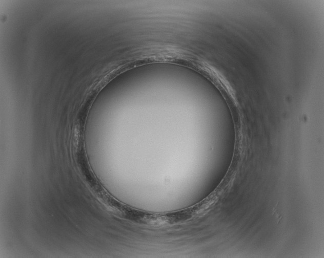 X0000085210113200703090839