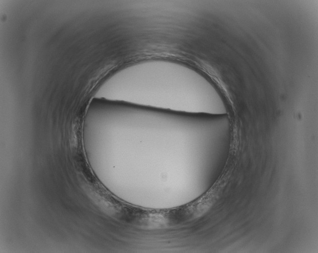 X0000085210114200703090839