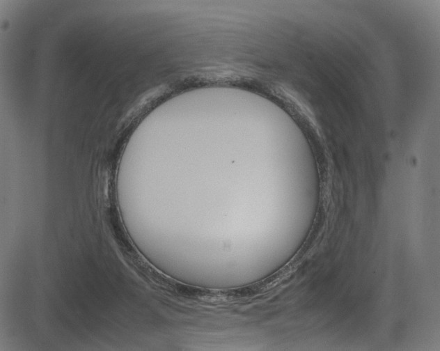 X0000085210115200703090839