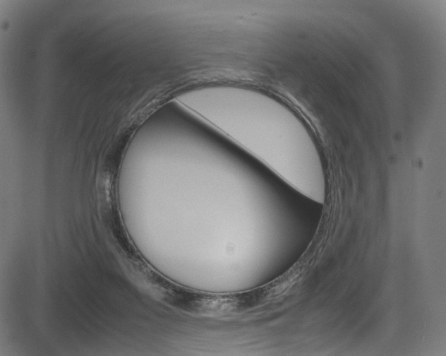 X0000085210117200703090839