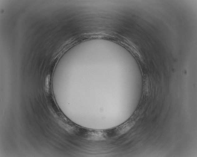 X0000085210118200703090839
