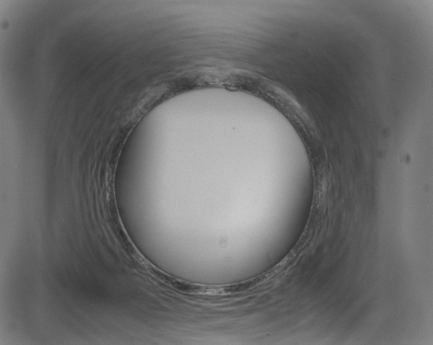 X0000085210121200703090839