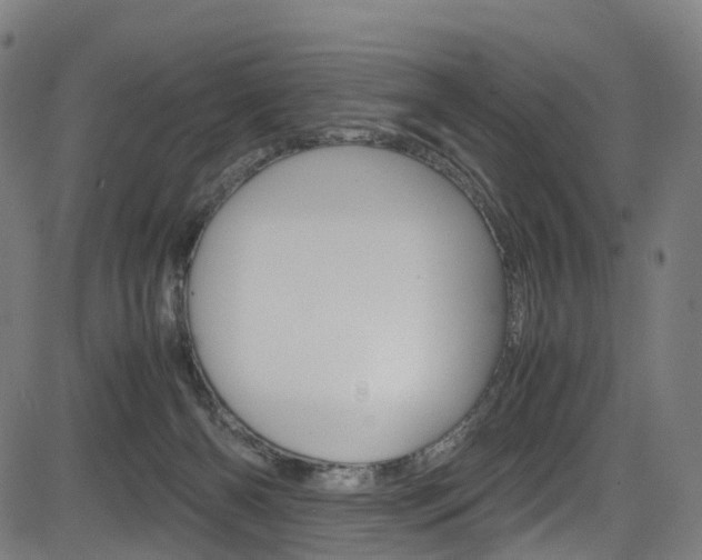 X0000085210126200703090839