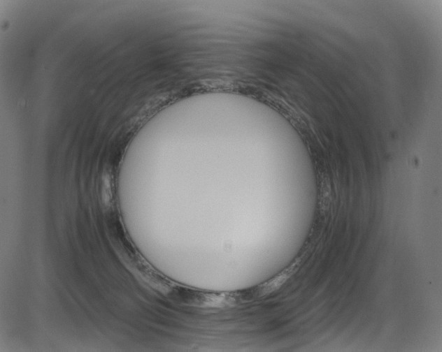 X0000085210130200703090839