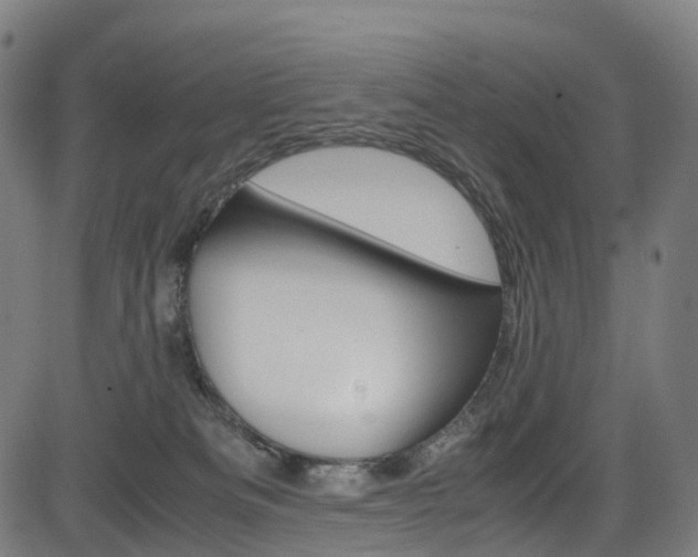 X0000085210133200703090838