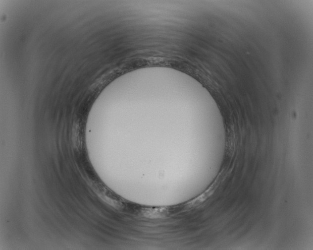 X0000085210136200703090838