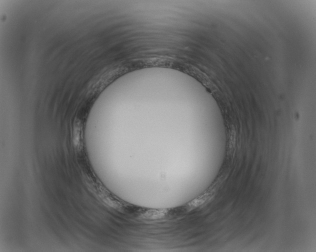 X0000085210138200703090838