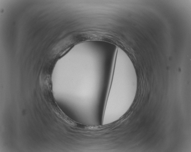 X0000085210141200703090838