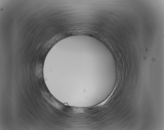X0000085210144200703090838