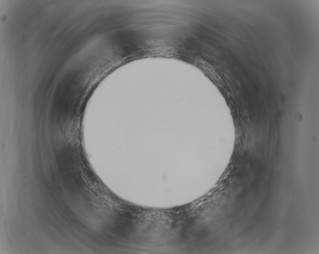 X0000085210146200703090837