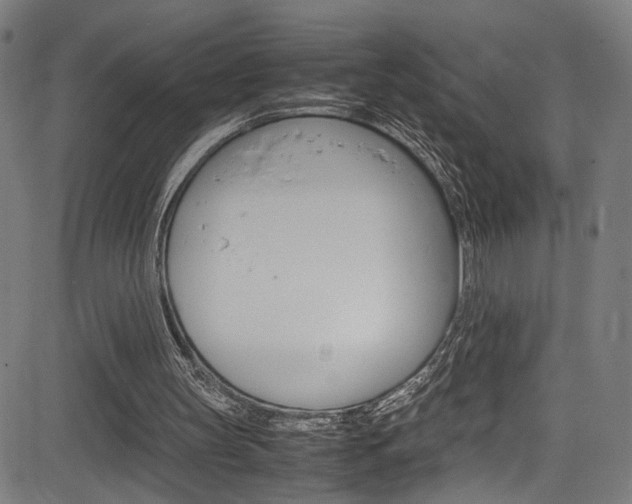 X0000085210147200703090838