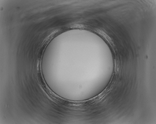 X0000085210157200703090838