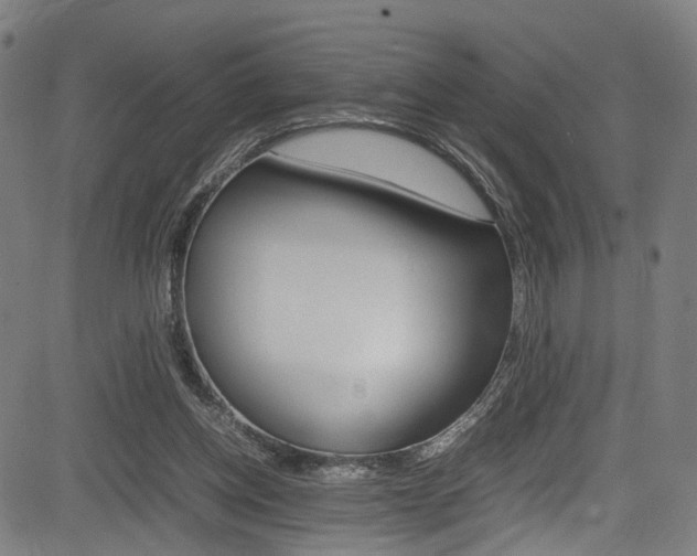 X0000085210158200703090838