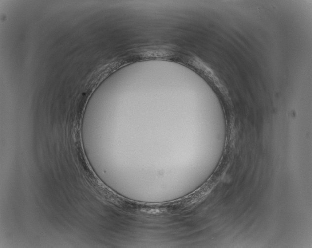 X0000085210161200703090838