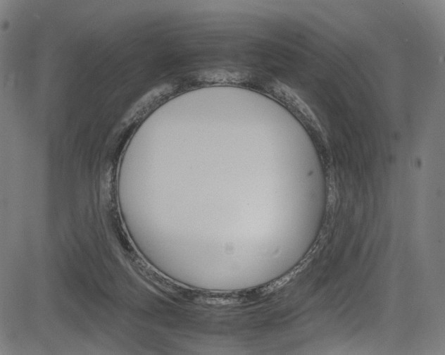 X0000085210163200703090838
