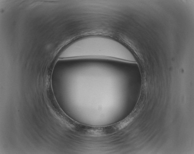 X0000085210164200703090838
