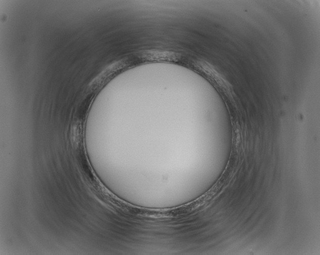 X0000085210165200703090838