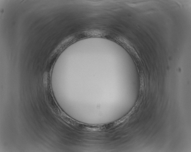 X0000085210167200703090838