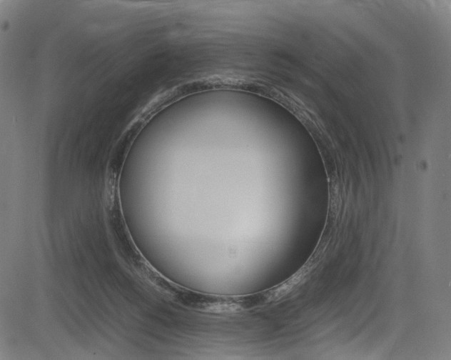 X0000085210168200703090838