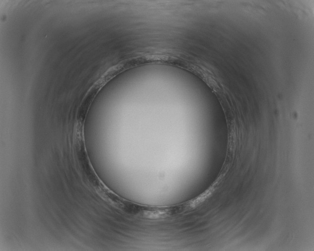 X0000085210172200703090838