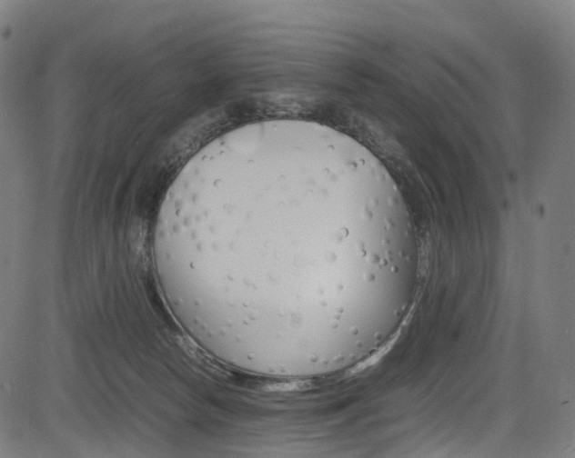 X0000085210178200703090838
