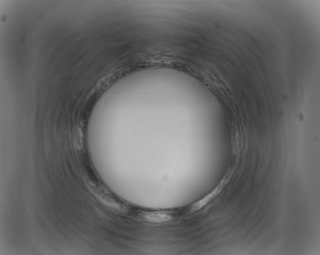 X0000085210183200703090838
