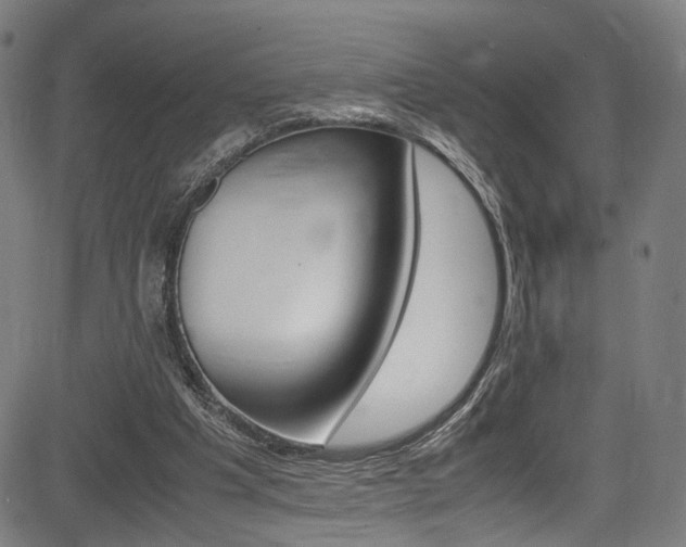 X0000085210201200703090837