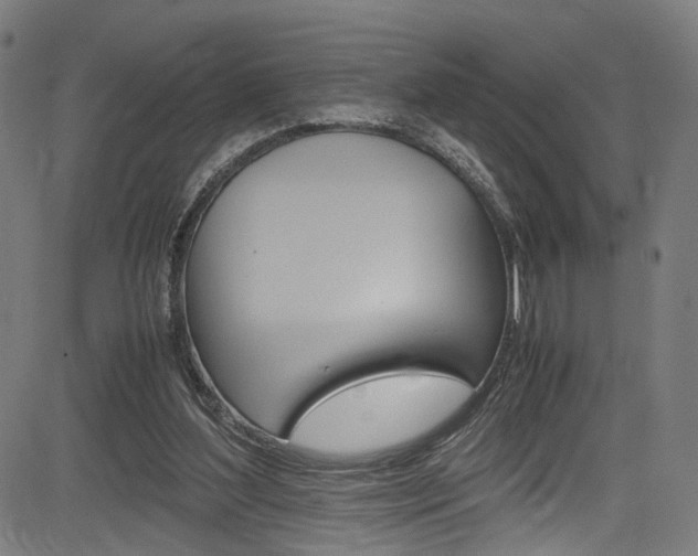 X0000085210204200703090837