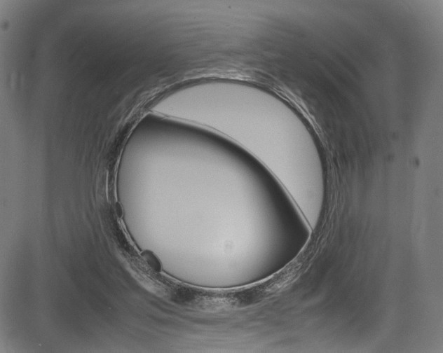 X0000085210205200703090837