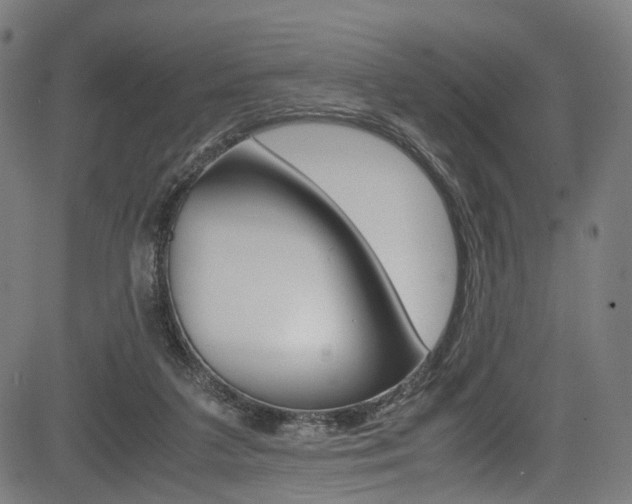 X0000085210211200703090837