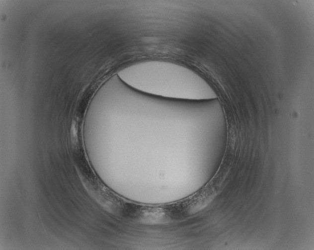 X0000085210214200703090837