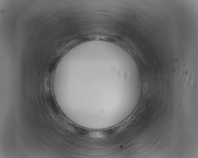 X0000085210218200703090837