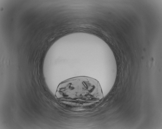 X0000085210219200703090837