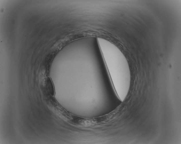X0000085210223200703090837