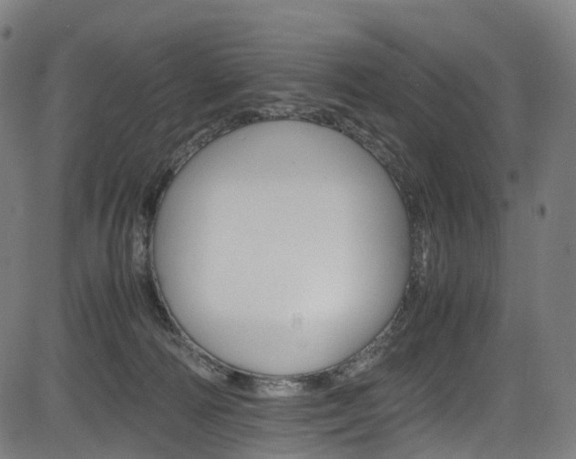X0000085210226200703090837
