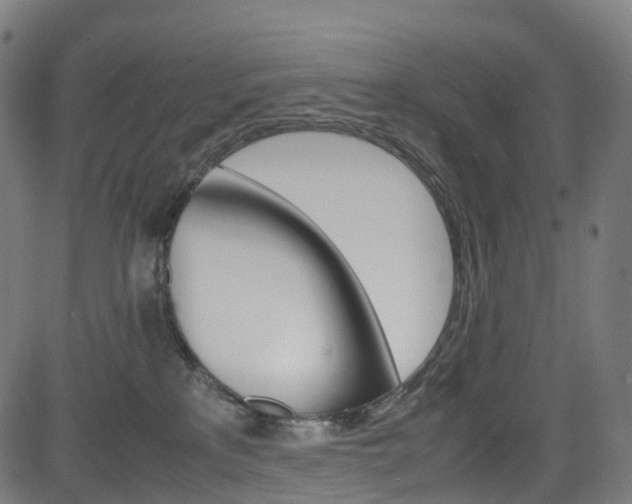 X0000085210233200703090837