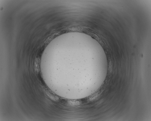 X0000085210234200703090837