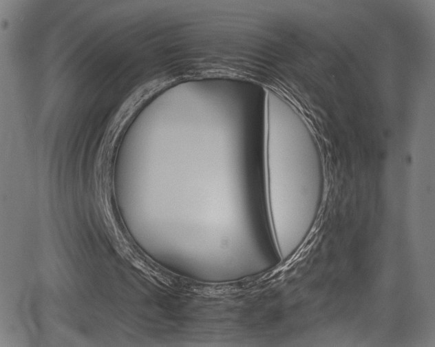 X0000085210241200703090836