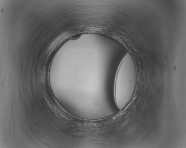 X0000085210242200703090836