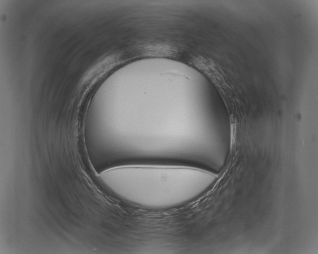 X0000085210243200703090836