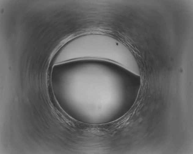 X0000085210244200703090836
