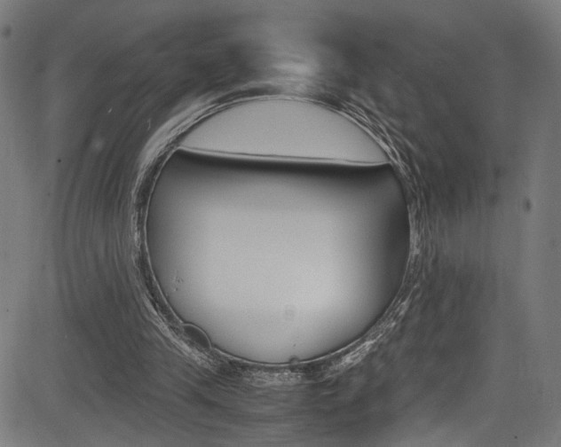 X0000085210245200703090836