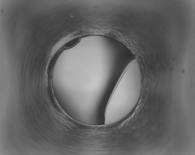 X0000085210246200703090836