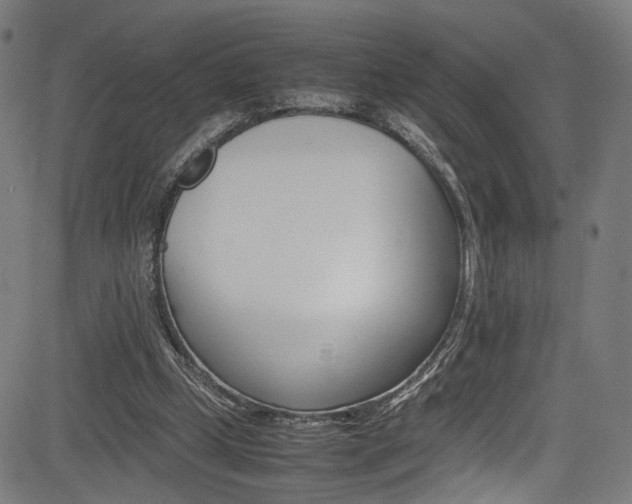 X0000085210249200703090836