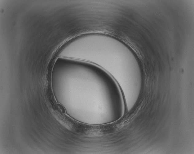 X0000085210252200703090836